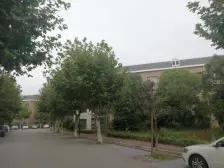 临港主城区,底层诚心出售,采光不错的,价格可以谈