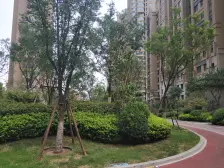 次新小区2号线地铁口精装修拎包入住好楼层好位置