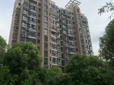 中间楼层 电梯房,无抵押 必看好房