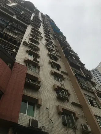 龙家秀色