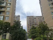 临港新片区人才一年社保可买,买两层享三层