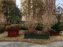 世纪万象广场 南北通透,采光好 装修好,环镜优美 周边匹套完善,,出行方便