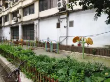 苏河湾板块 宝格丽同款 高区景观 纯住宅 诚意出售