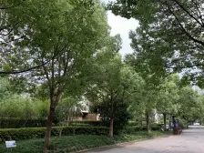 店长推荐,复地北桥城二期新出房源,3+1户型,带地下室,诚售