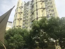 看房联系徐龙胤!看房有钥匙!电梯高区,南北两房