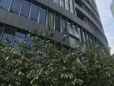 高区朝南、飞机户型、精装三年、看小区花园。