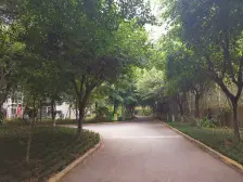 凤天路 环线旁 正规一房 配套齐全