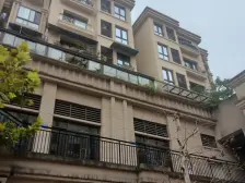 茶园新区 法蓝西莊邸(小洋楼)二房