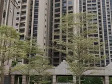 此房满五唯一,税费少,看江,户型方正,带精装修