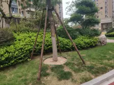 和昌悦澜北苑 2室2厅 南