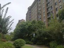 丽都华庭 2室2厅 南