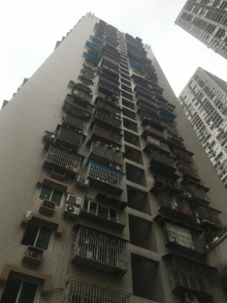 龙家秀色