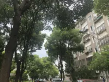 飞机户型大三房丨采光通风好丨装修保养好丨拎包入住