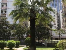 户型方正,商圈成熟,采光好,通风好