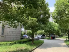 电梯高层 出行方便商业设施齐全 满五/唯/一产权清晰