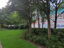 中粮南桥半岛西区 3室1厅 南