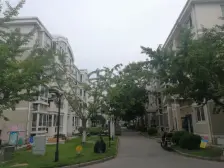 临港大三房 高楼层 纯毛坯 采光刺眼 南北通
