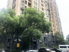 嘉定老城·浦发香舍(别墅)·5室·2厅
