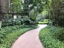 3+1结构 带花园 板式结构 业主诚心出售