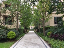 照母山洋房底跃,住家安静,户型方大正,单层面积大