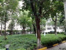 商建大楼3室南朝向818.00万元/套出售