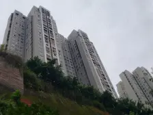 户型方正,采光好,出行方便,楼层好