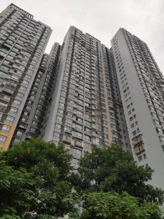 融橙上品