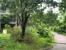 绿城上岛 2室2厅 南