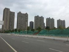 美洲故事6室3厅南北南北