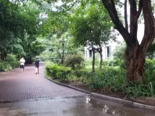 绿城上岛二期 视野好 通透