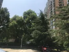 此房满五年,精装修,采光视线也很好,大四房拎包入住