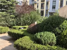 东特星中环广场三室中间楼层 一梯三户 南北通厅