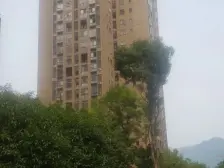 秋实两房出售,位置好,户型方正,采光巴适