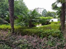 户型好,全亮间,不靠马路 南北大露台50多平.