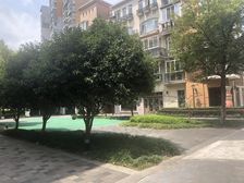 电梯房,大开间,品质小区,精装修,刚需好房