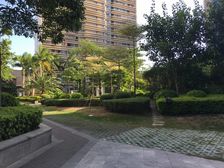 万达朝南小户型稳定出售采光不错有小区绿化