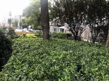 斜土路大木桥·鼎园·2室·1厅