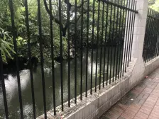 一楼带院子!双入户!满五年家庭一套!百年求知+田三配套