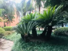 黄泥塝 近轻轨 顶跃带大花园 性价比高