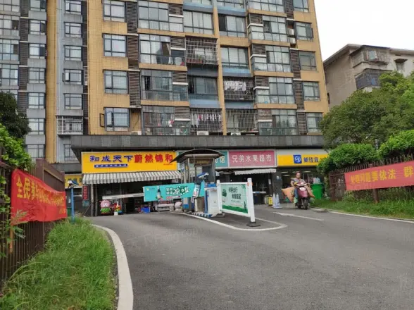融橙上品