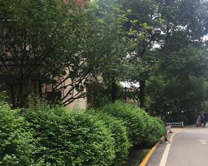 水岸天际2室2厅南