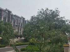 上城国际B区 3室2厅 南 北