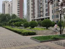 精装修复式,装修260万 实用面积300平