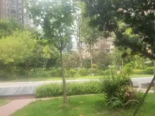 秋实学府 2室2厅 东南