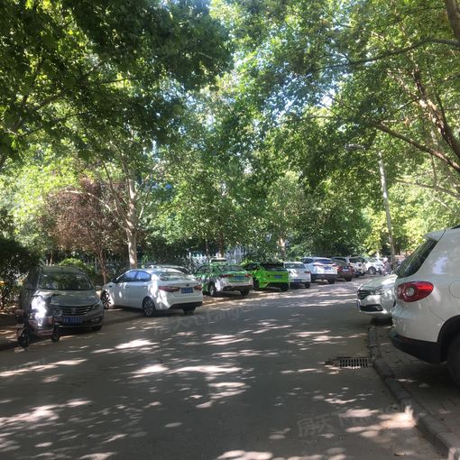 Õû×⡤Öз½Ô°Î÷Çø 3ÊÒ2Ìü ÄÏ/±±