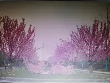 城西中间区域美叠墅环境好清水状态