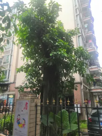 康慧苑