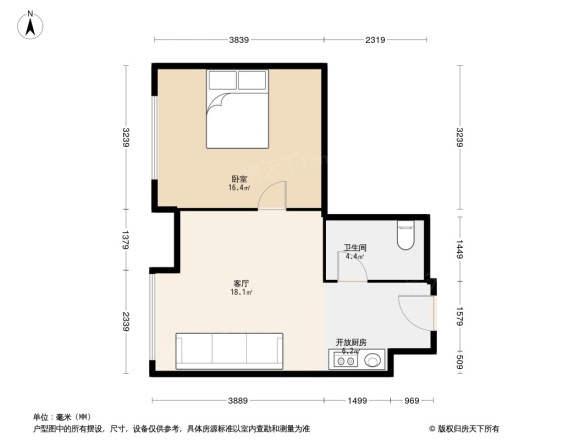 假日国际