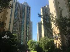 房子前面没有任何遮挡,采光充足。