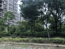 装修好采光好房东诚心出售户型方正